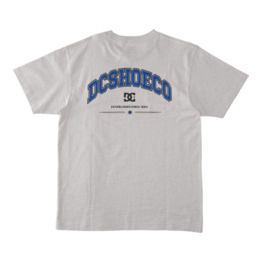 Футболка DC SHOES ORIENTATION 