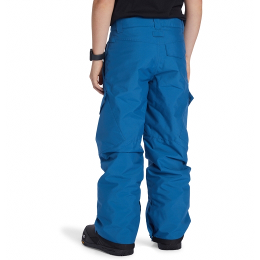 Детские горнолыжные штаны DC SHOES BANSHEE YOUTH PANT 2025 BLUE Детские горнолыжные штаны DC SHOES BANSHEE YOUTH PANT 2025 BLUE