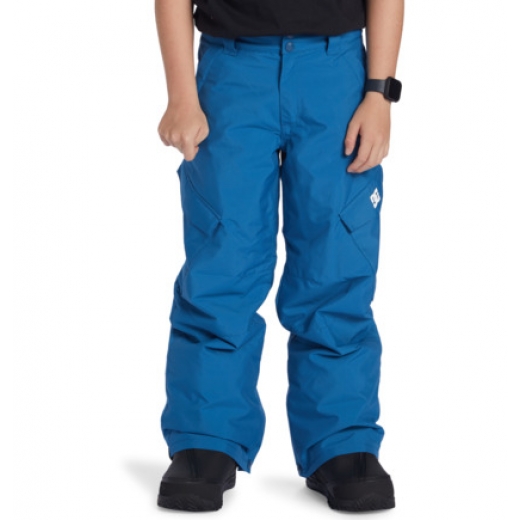 Детские горнолыжные штаны DC SHOES BANSHEE YOUTH PANT 2025 BLUE Детские горнолыжные штаны DC SHOES BANSHEE YOUTH PANT 2025 BLUE