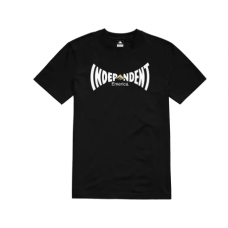 Футболка EMERICA X INDY SPAN TEE 2024 BLACK Футболка EMERICA X INDY SPAN TEE 2024 BLACK