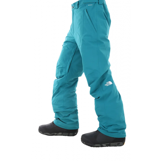 Штаны для сноуборда THE NORTH FACE FREEDOM