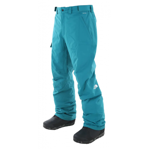 Штаны для сноуборда THE NORTH FACE FREEDOM