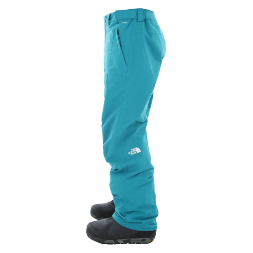Штаны для сноуборда THE NORTH FACE FREEDOM
