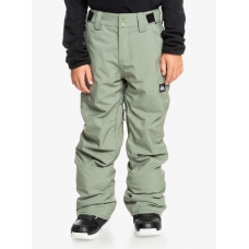 Детские горнолыжные штаны QUIKSILVER ESTATE YOUTH 2025 MULTI
