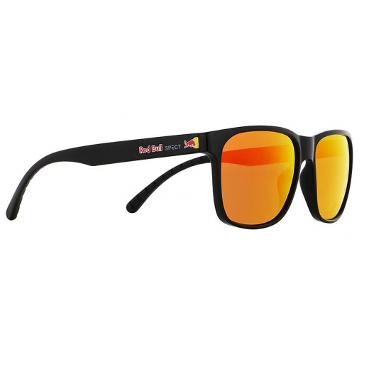 Очки Red Bull EARLE-002P Очки Red Bull EARLE-002P